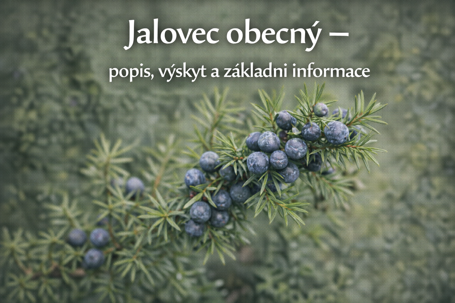 Co je co?