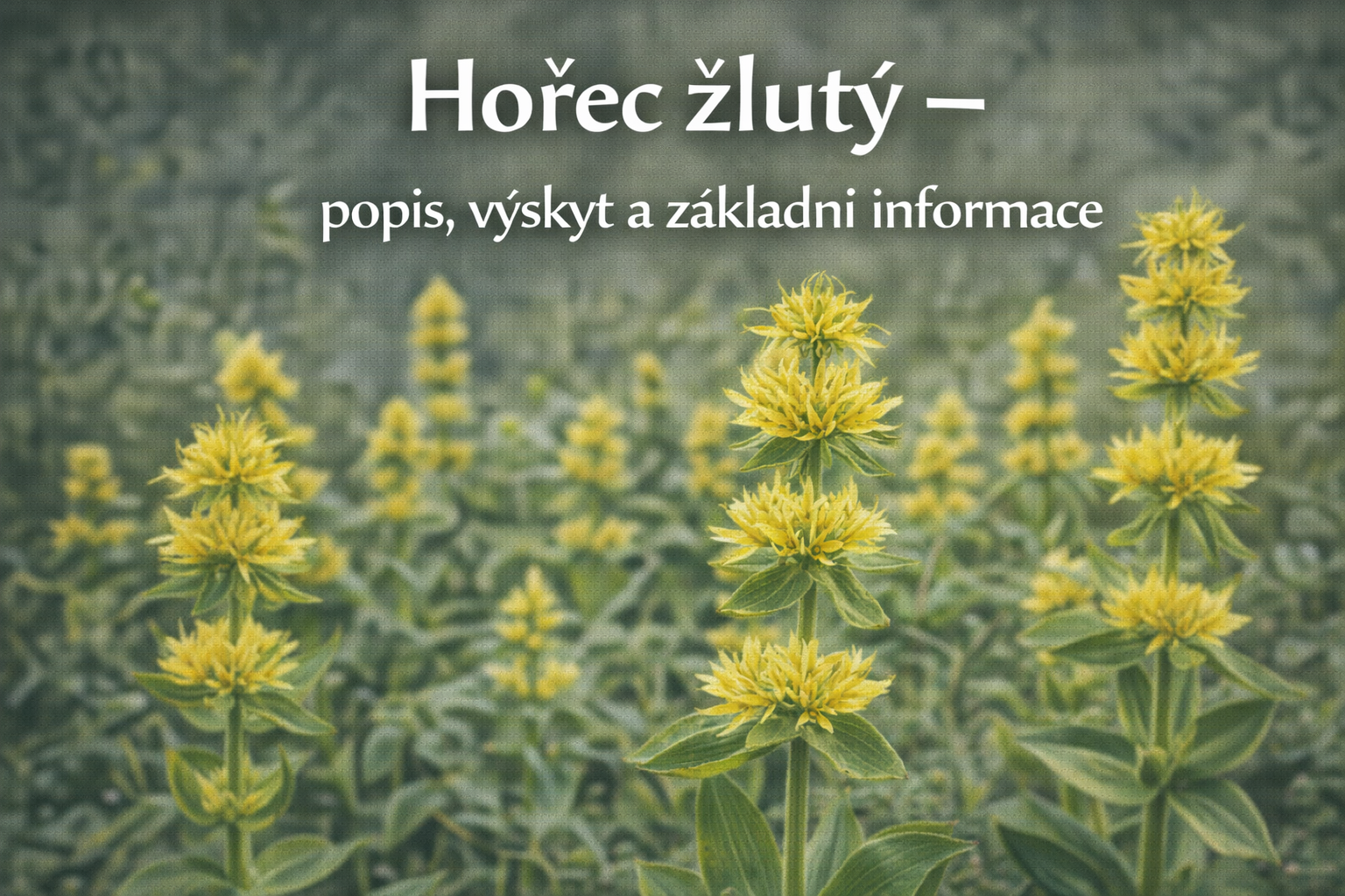 Co je co?