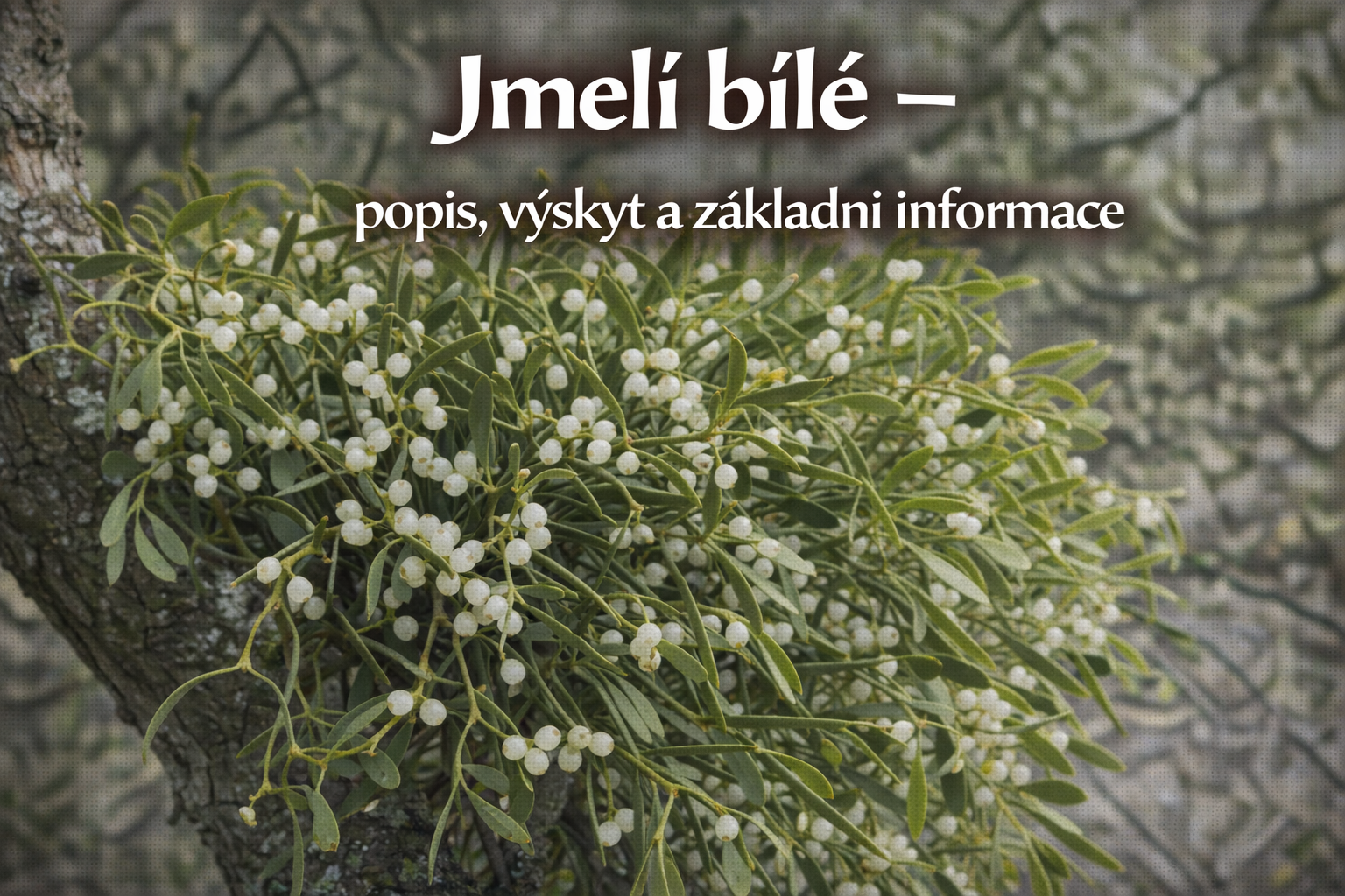Co je co?