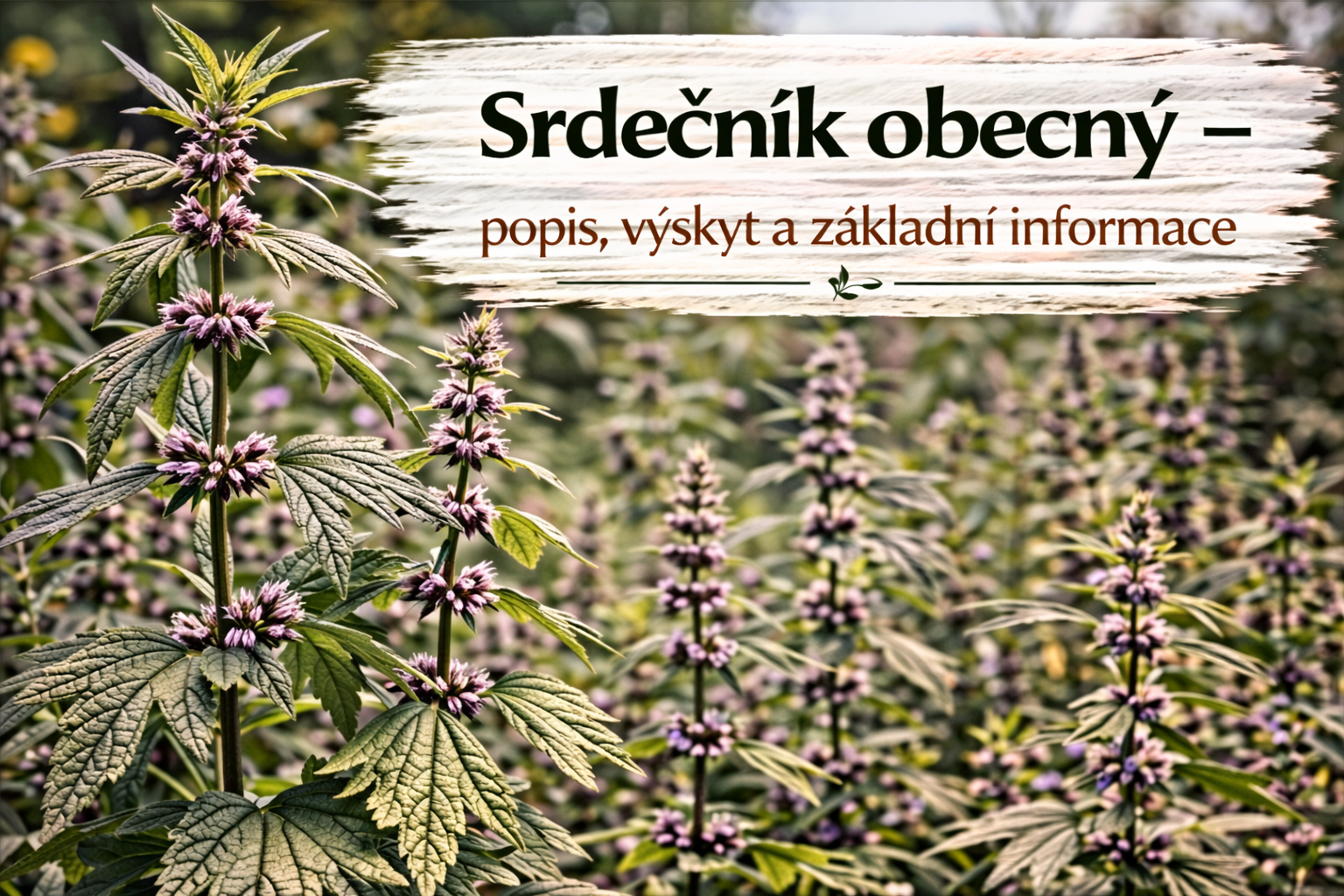 Co je co?