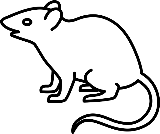 Hubení škůdců