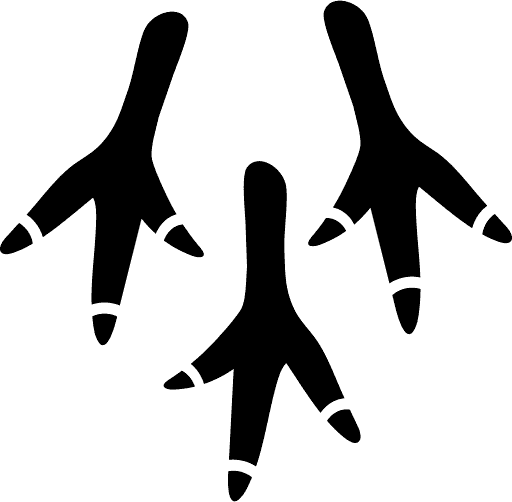 motyka, drápek, lopatka