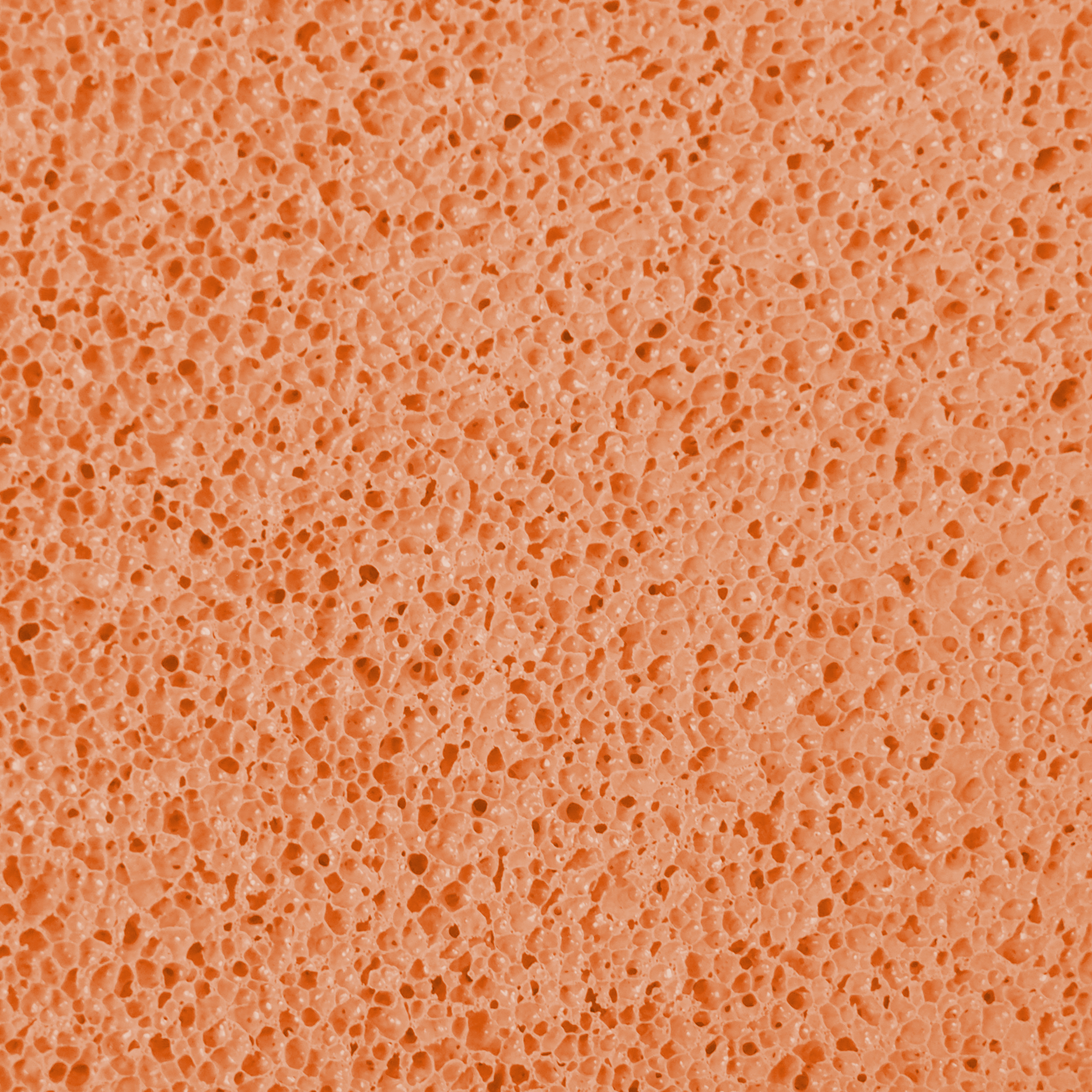 TOPTRADE hladítko s jemnou houbičkou, ABS, posunutá rukojeť, 280×140×18 mm