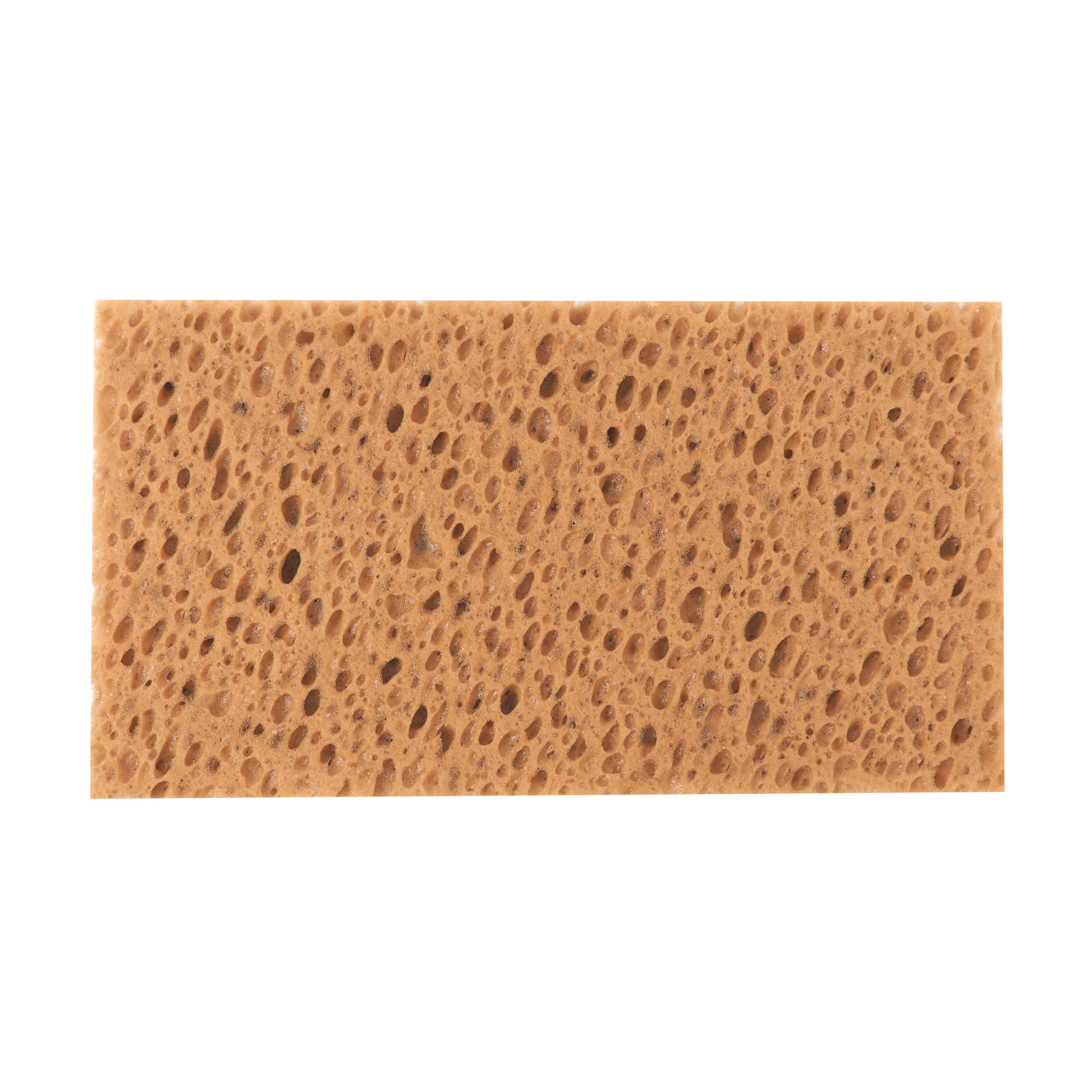 TOPTRADE hladítko s mořskou houbou 250 × 130 × 20 mm