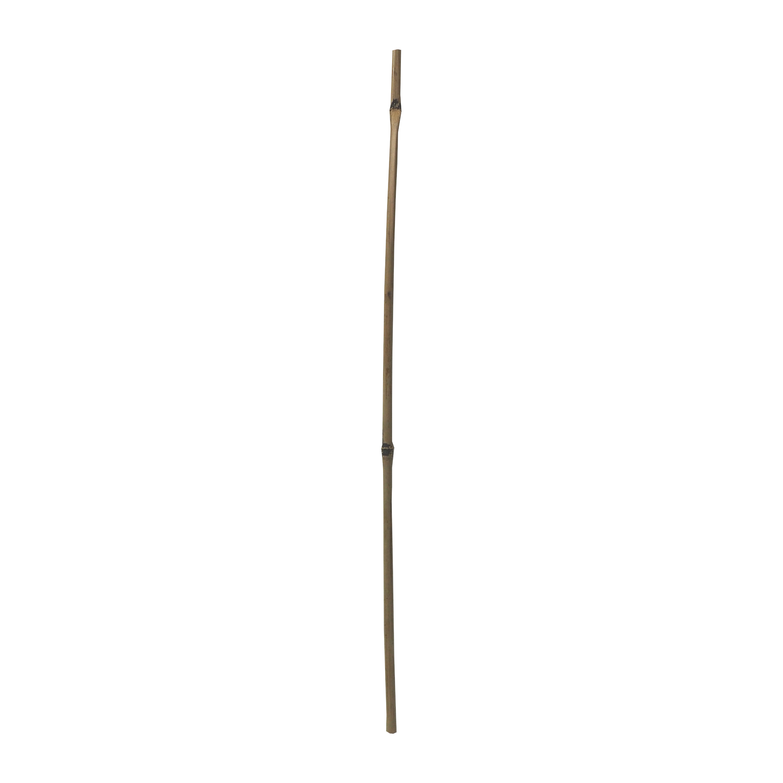 TOPTRADE bambusové tyče 60 cm, Ø 8–10 mm – sada 5 ks