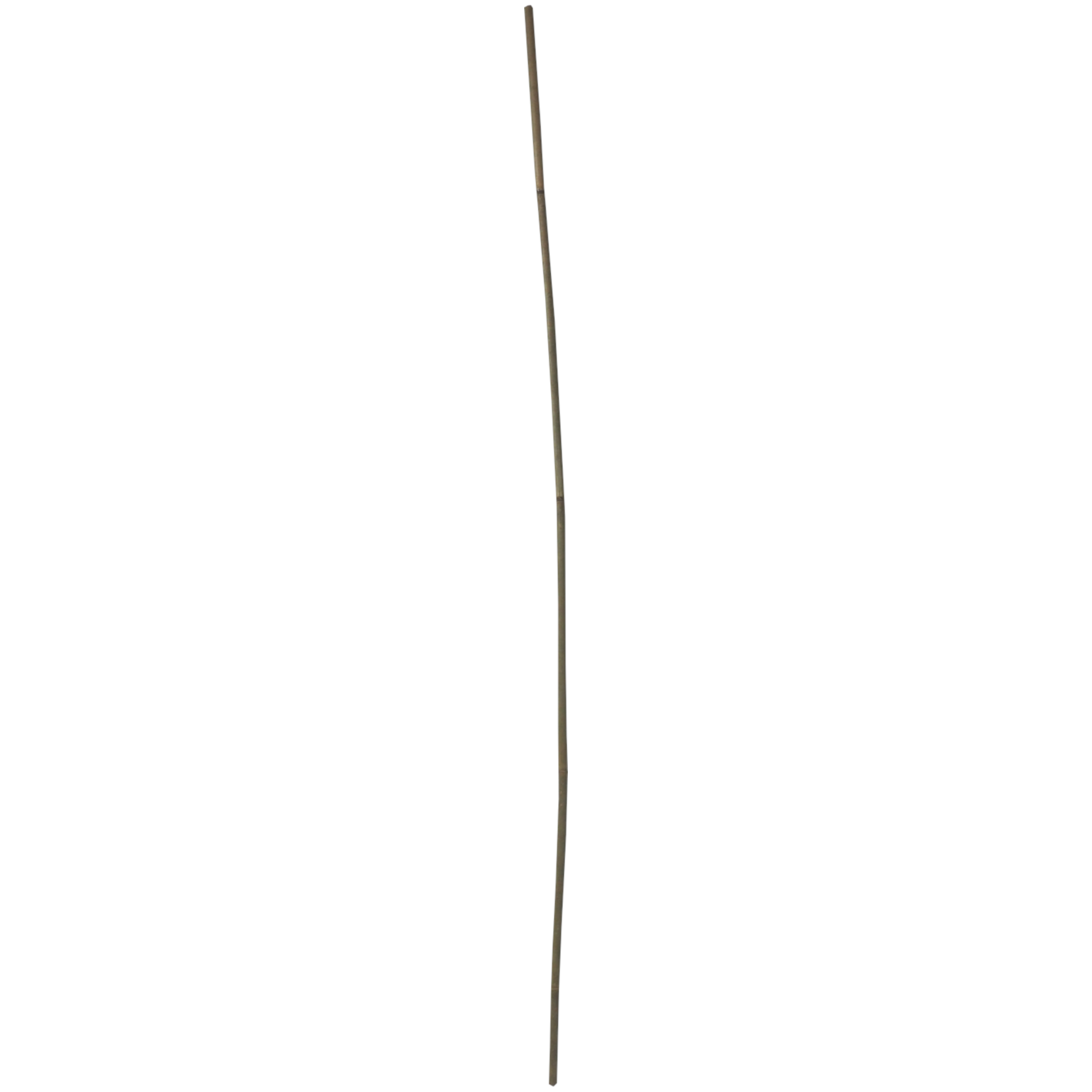 Bambusové tyče TOPTRADE 150 cm Ø 14–16 mm – sada 2 ks