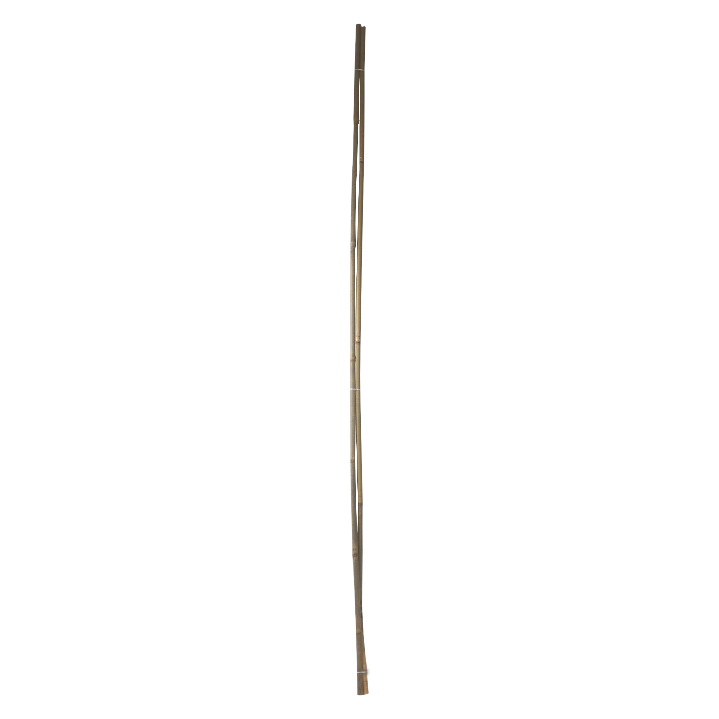 Levně TOPTRADE bambusové tyče 180 cm Ø 16–18 mm (2 ks) (Přírodní opora pro rostliny do květináčů i na záhon)