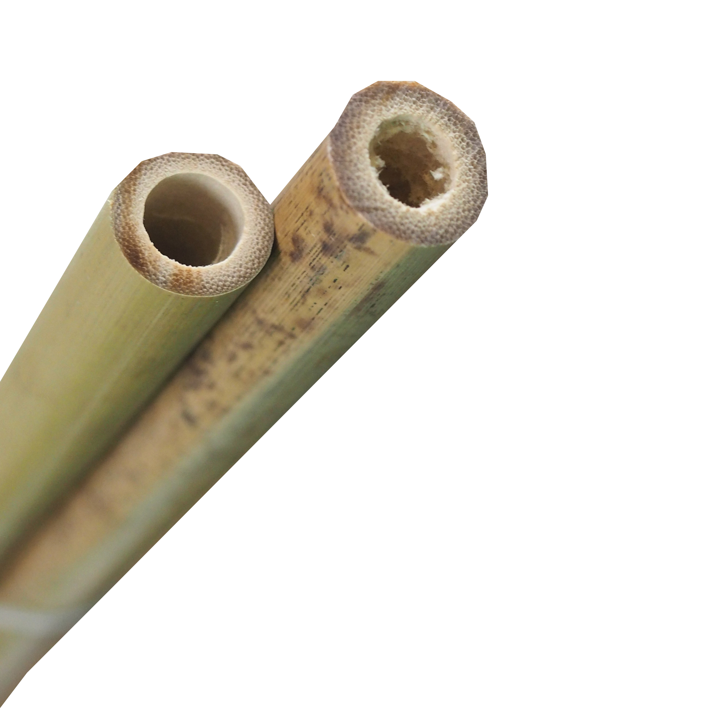 TOPTRADE bambusové tyče 210 cm, Ø 18–20 mm (2 ks)