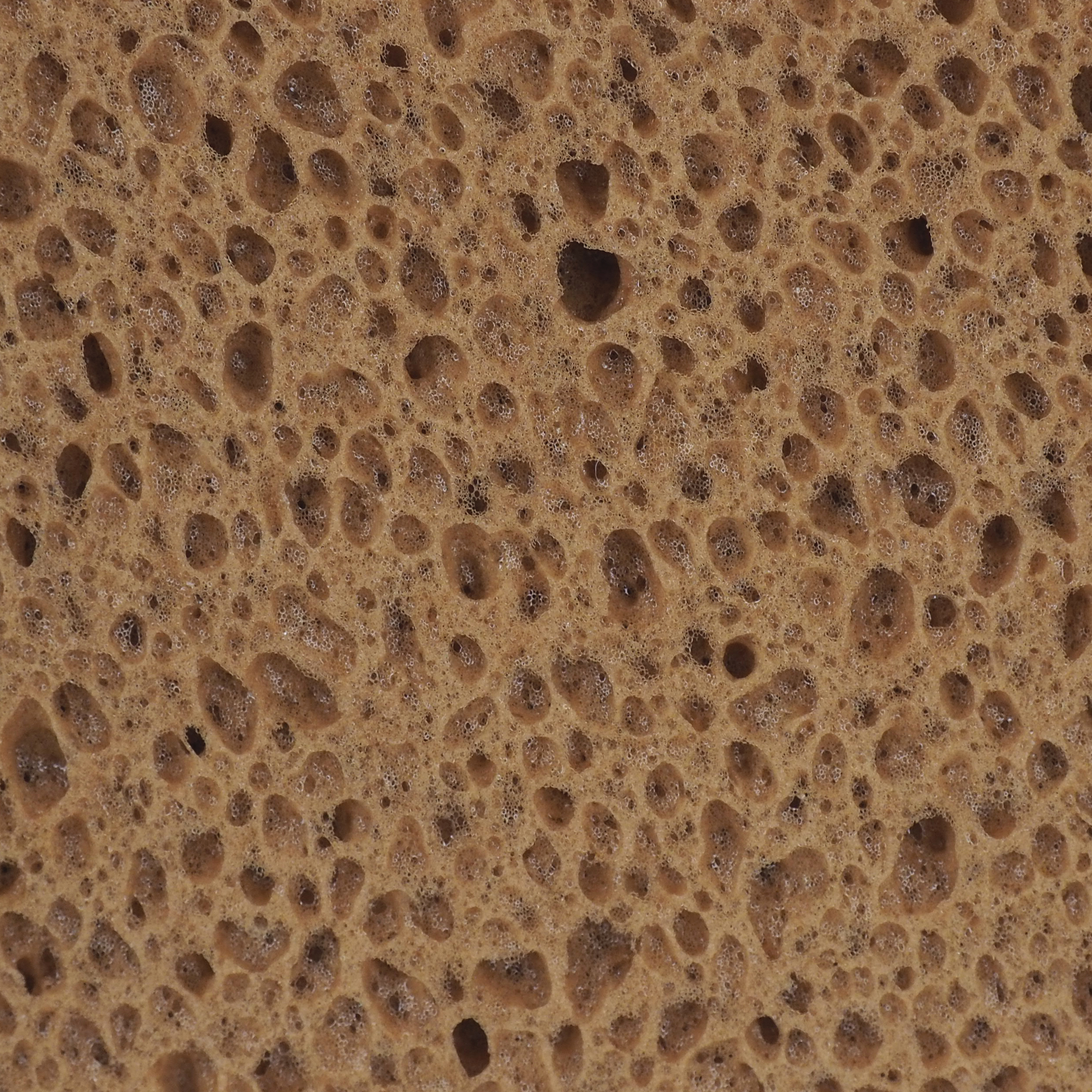 TOPTRADE hladítko s mořskou houbou, německý typ, PROFESSIONAL, 250×130×30 mm