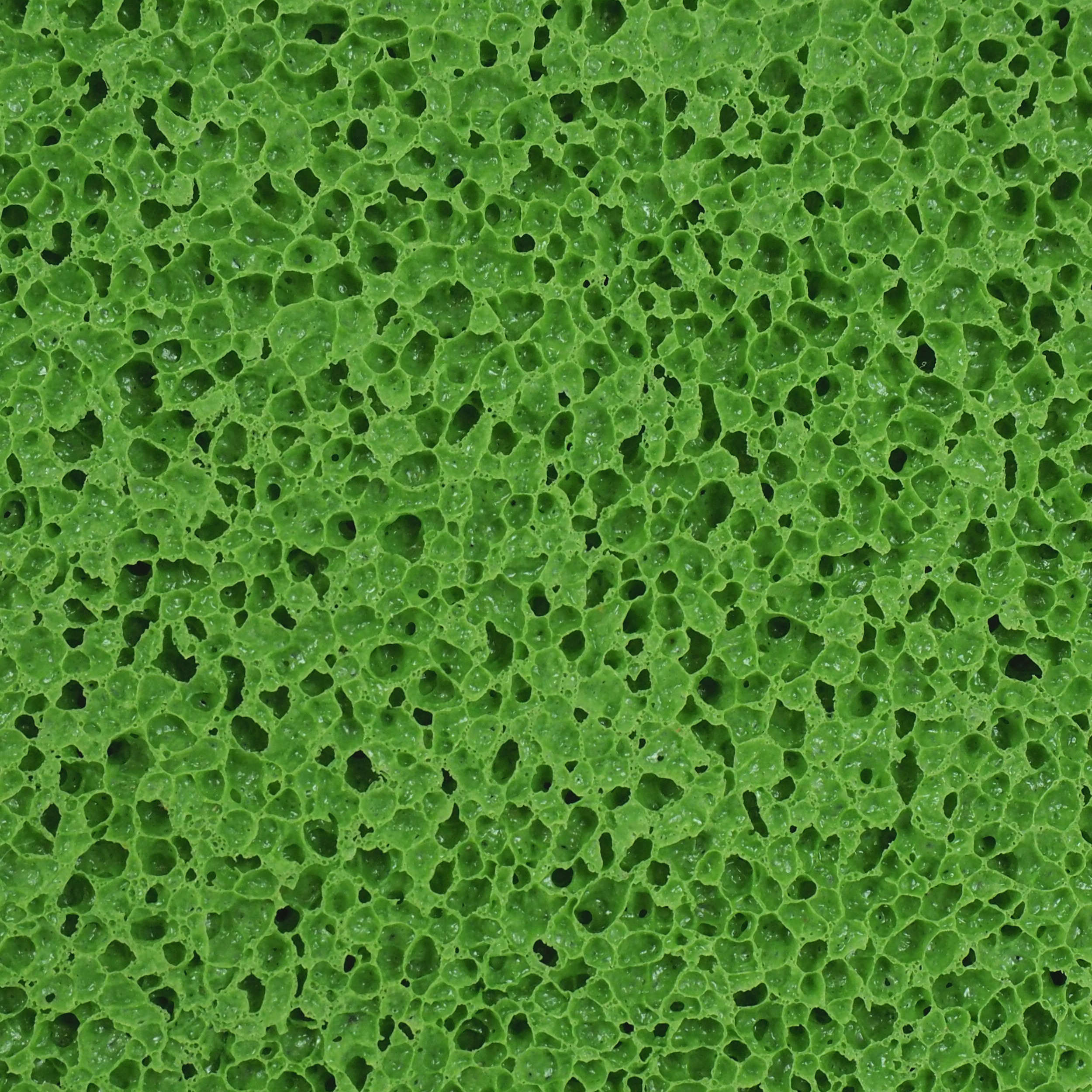 TOPTRADE hladítko s hrubou houbičkou, ABS, 280×140×12 mm