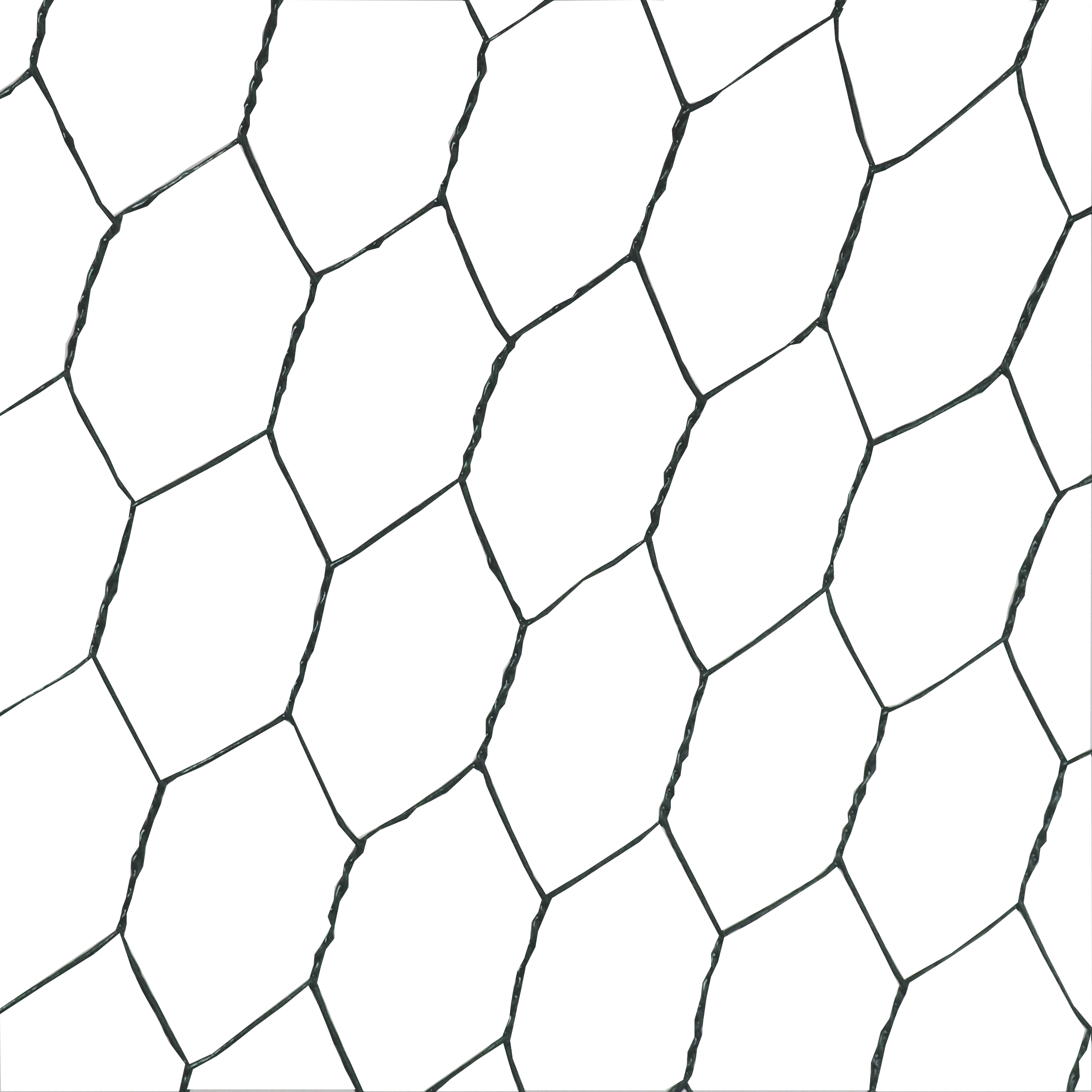 TOPTRADE králičí pletivo poplastované, zelené, 1×5 m, oka 20 mm, drát 0,9 mm