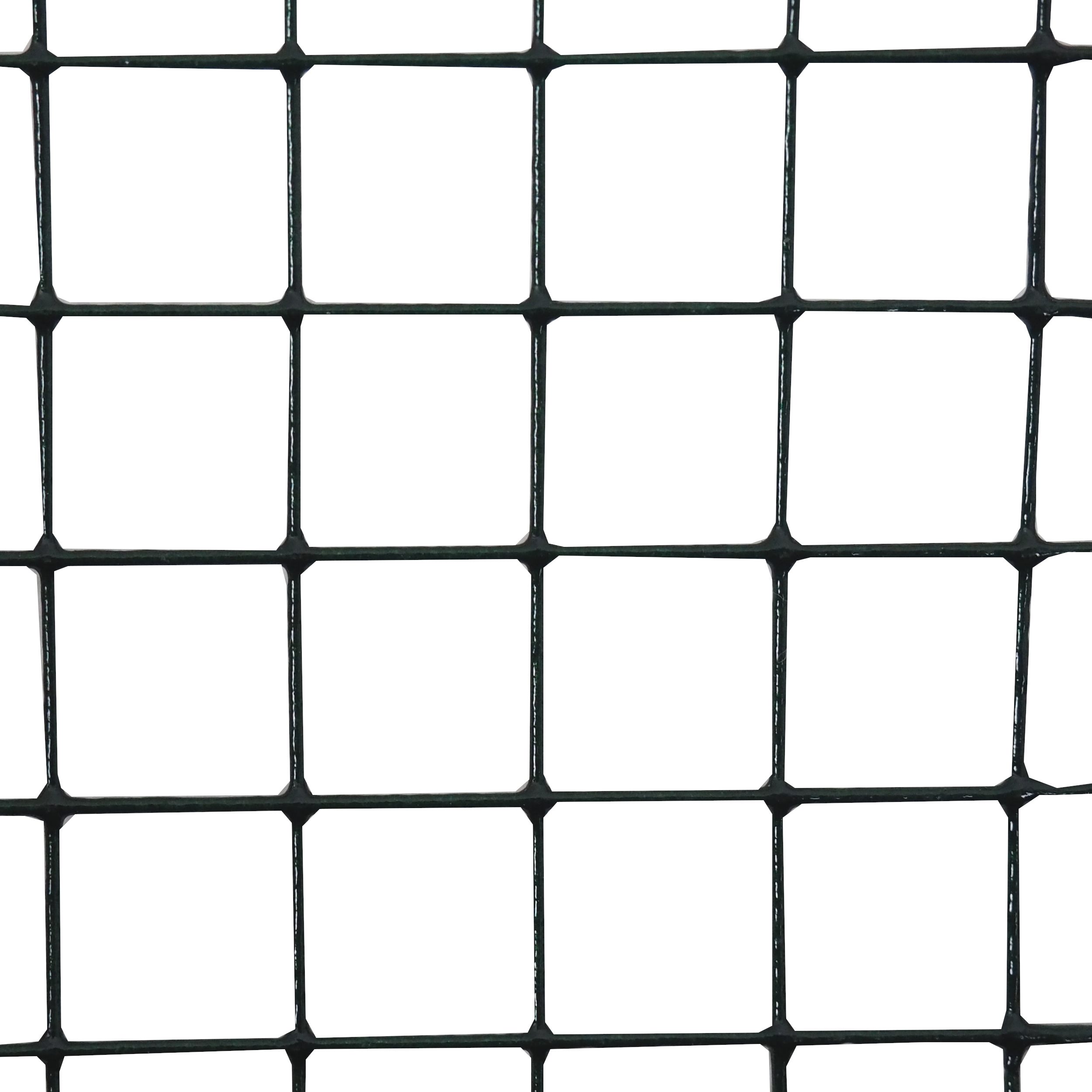 TOPTRADE svařovaná poplastovaná síť 25×25 mm, drát 1,4 mm, 1×25 m, zelená