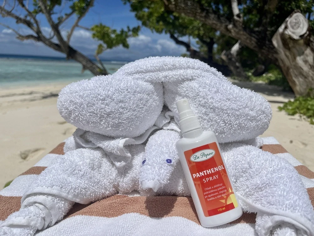 Panthenol spray, 110 ml Dr. Popov