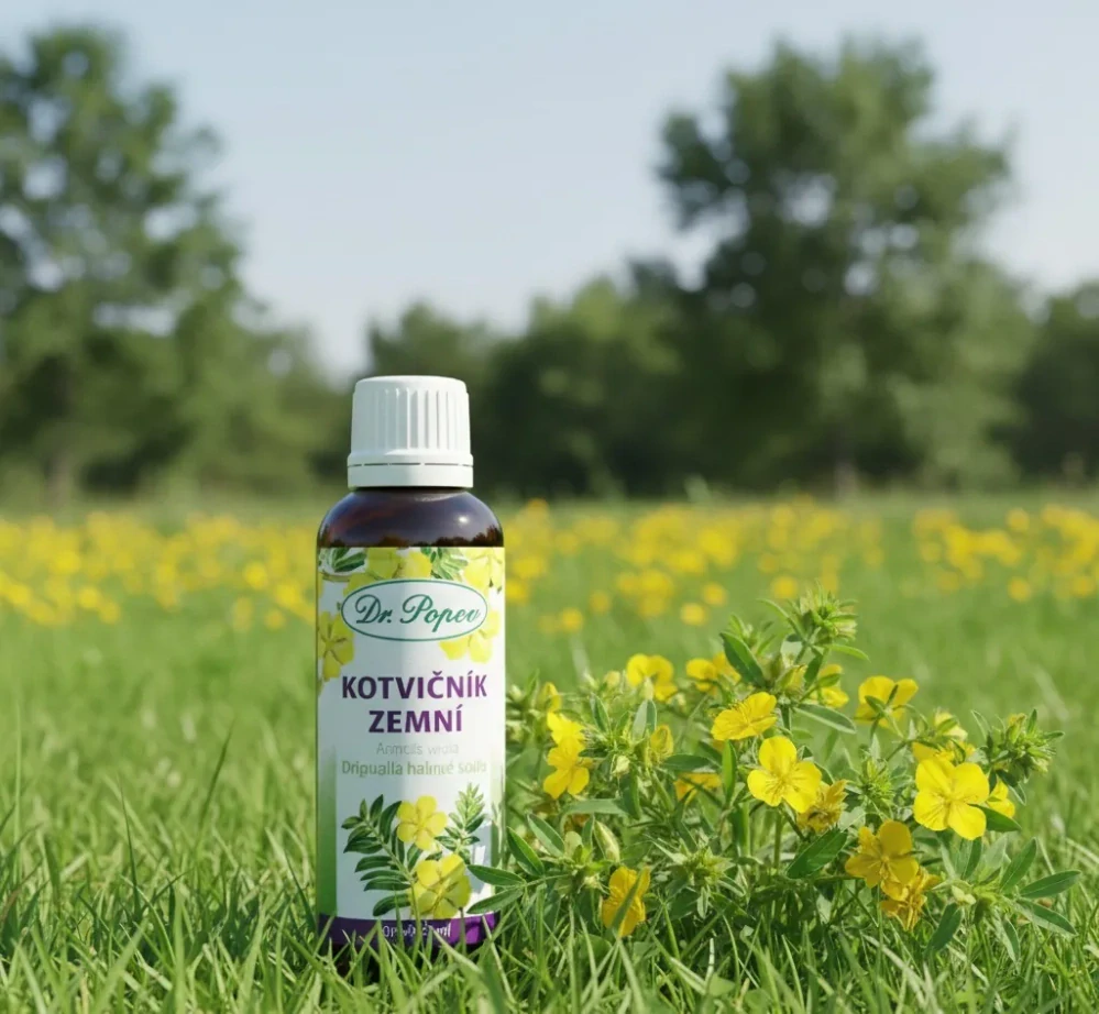 Kotvičník zemní, originální bylinné kapky, 50 ml Dr. Popov