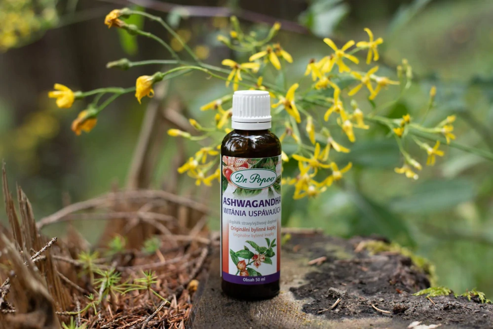 Ashwagandha , originální bylinné kapky, 100 ml Dr. Popov