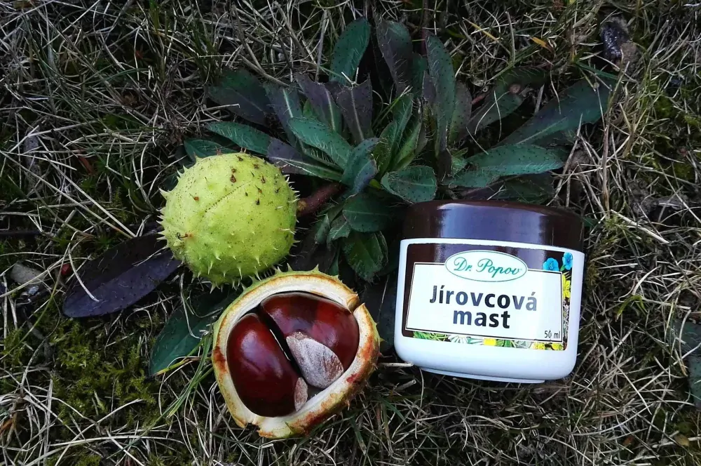 Jírovcová mast, 100 ml Dr. Popov