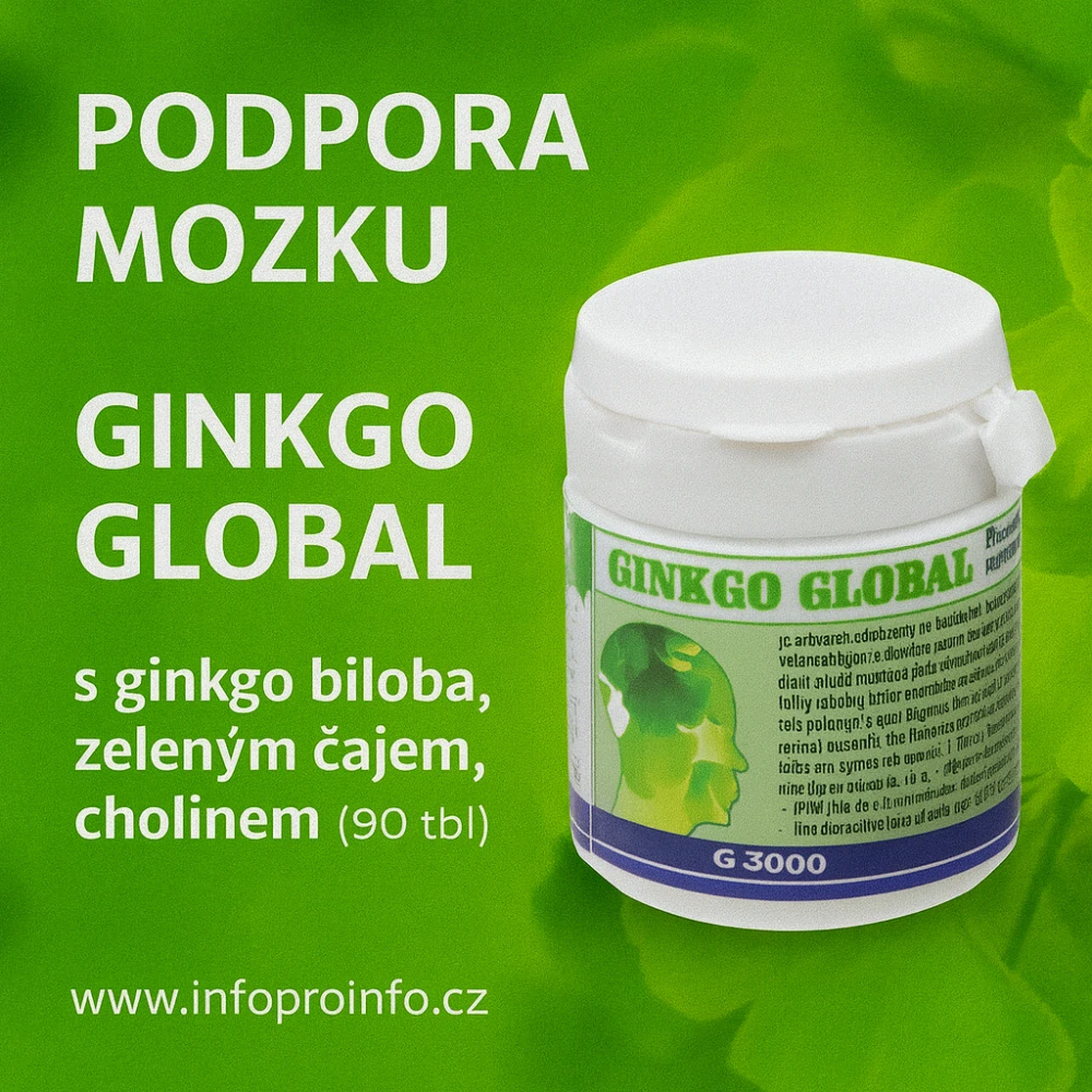 Ginkgo Global s Ginkgo biloba a cholinem, 90 tablet