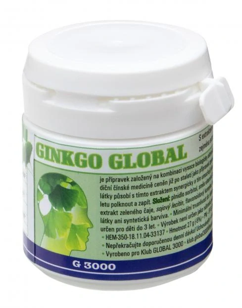 Ginkgo Global s Ginkgo biloba a cholinem, 90 tablet