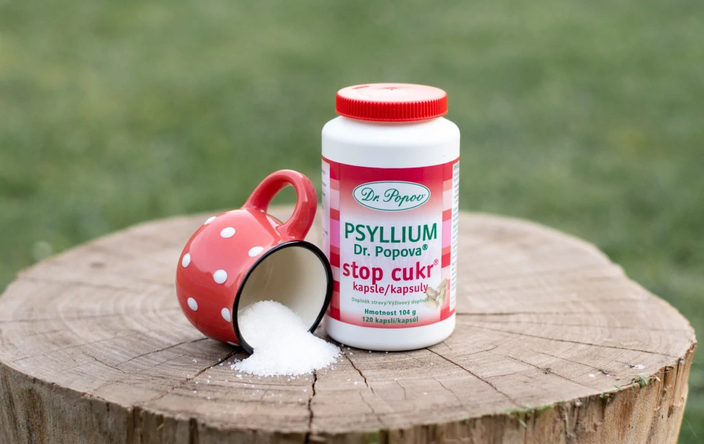 Psyllium Dr. Popova SLIM kapsle – ekonomické balení 240 ks