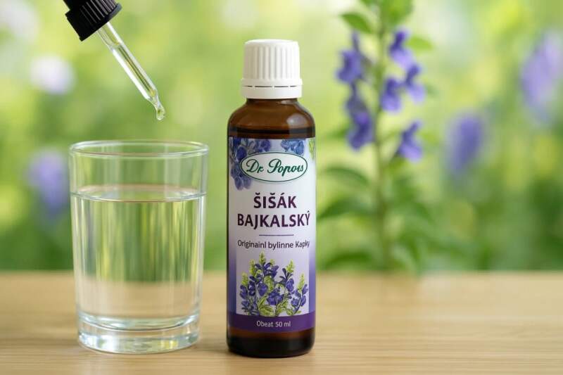 Levně Dr. Popov Šišák bajkalský – bylinné kapky 50 ml (Jednodruhová tinktura z kořene. Doplněk stravy.)