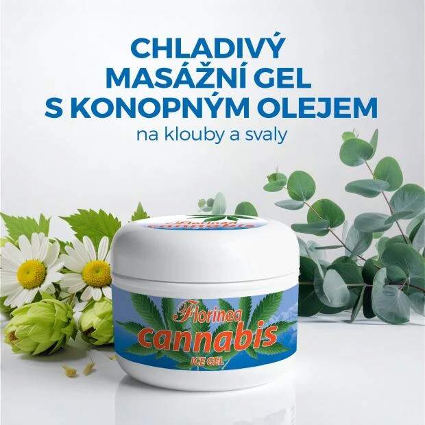 Levně Florinea Cannabis Ice Gel 200 ml – chladivý masážní gel s konopným olejem. (Florinea - Cannabis ICE gel (chladivý gel) je určený k masáži pokožky v oblasti svalů a kloubů.)