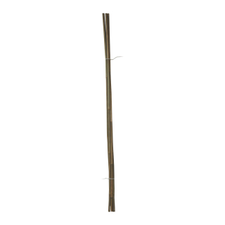 TOPTRADE bambusové tyče 120 cm, Ø 12–14 mm (5 ks)