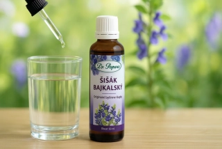 Dr. Popov Šišák bajkalský – bylinné kapky 50 ml