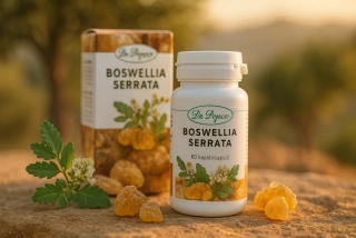 Boswellia serrata – extrakt 85 %, 60 kapslí