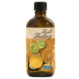 Fresh Feeling 500 ml – osvěžovač vzduchu s pomerančovou kůrou