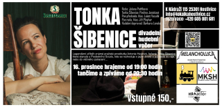 VSTUPENKA DIVADLO 24.02.2024